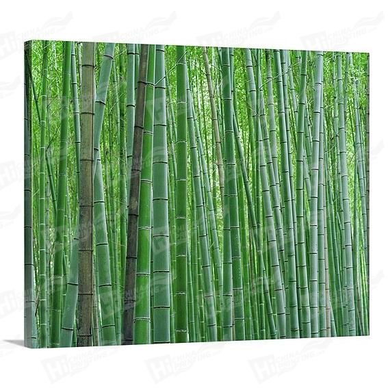 Bamboo Canvas Printing