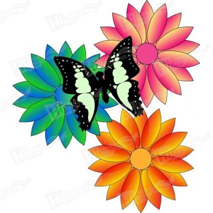 Butterfly And Flower Canvas Printing