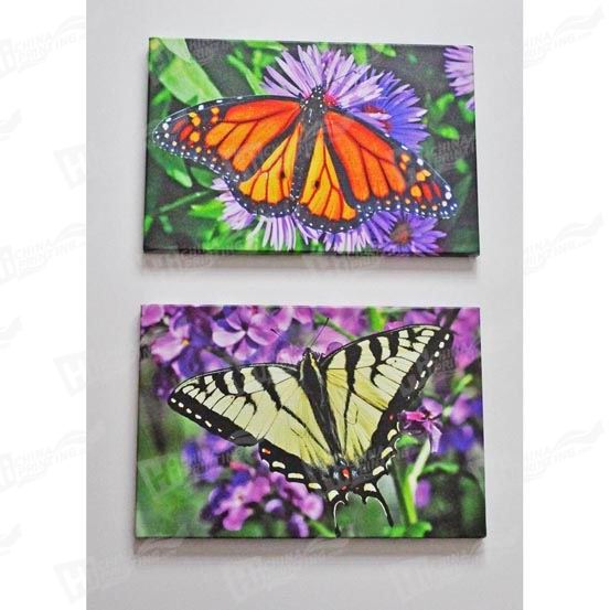 Butterfly Canvas Printing