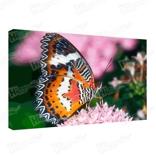 Butterfly Canvas Printing