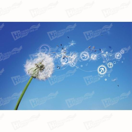 Dandelion Canvas Printing