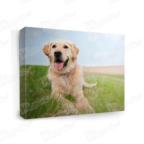 Dog Canvas Printing