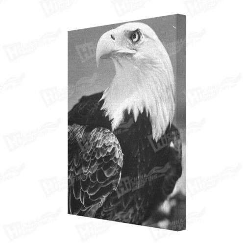 Eagle Canvas Printing