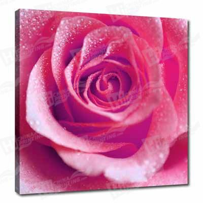 Flower Canvas Printing