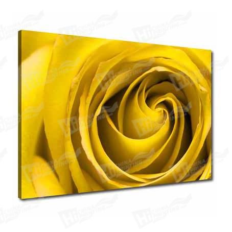 Flower Canvas Printing