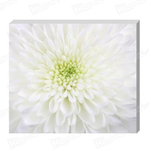 Flower Canvas Printing