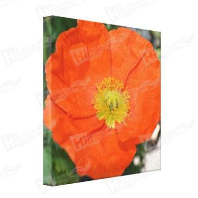 Flower Canvas Printing