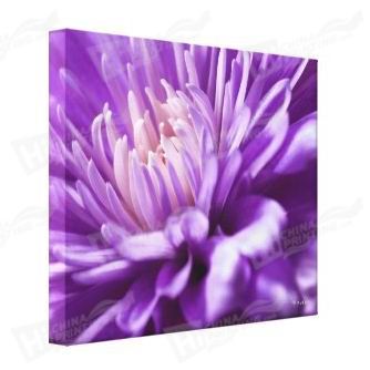 Flower Canvas Printing