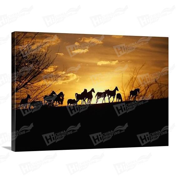 Horse Canvas Printing