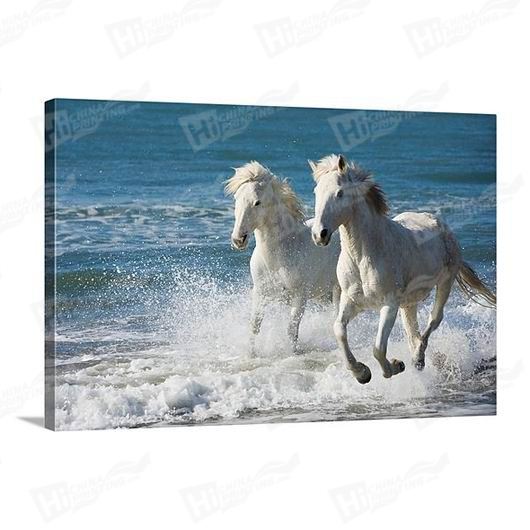 Horse Canvas Printing