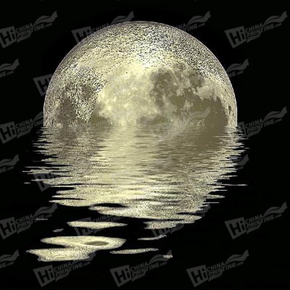 Moon Canvas Printing