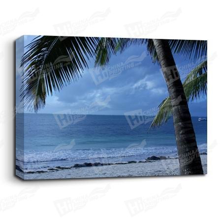 Palm Tree Canvas Printing