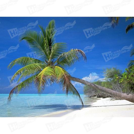 Palm Tree Canvas Printing