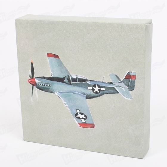 Plane Canvas Printing