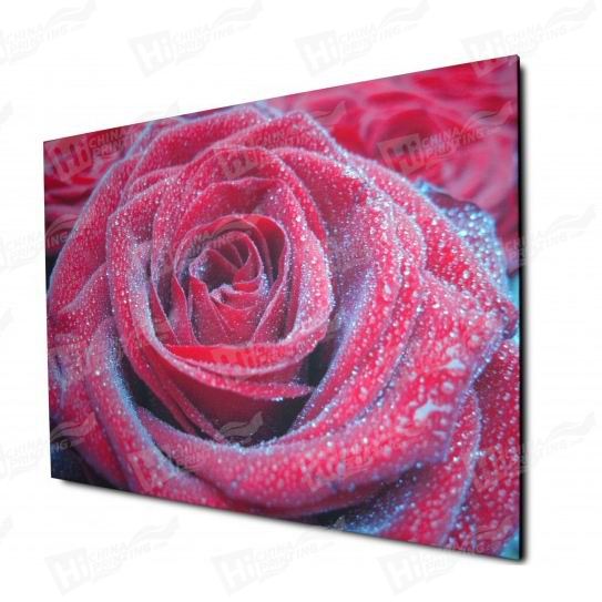 Professional Canvas Printing Online