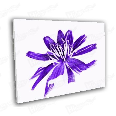 Purple Flower Canvas Printing