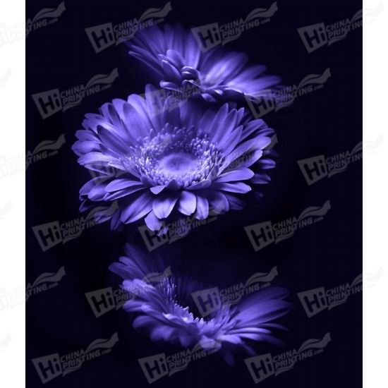 Purple Flower Canvas Printing