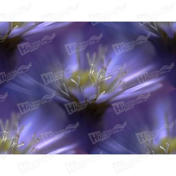 Purple Flower Canvas Printing