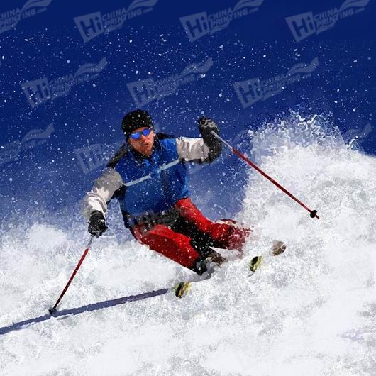 Skiing Canvas Printing