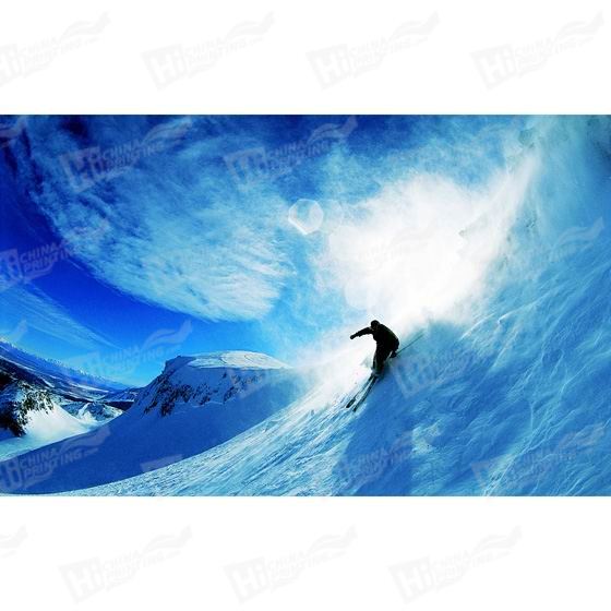 Skiing Canvas Printing