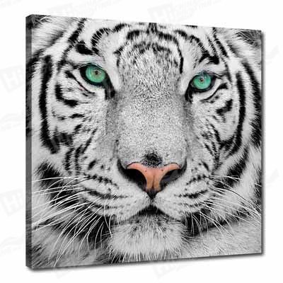 Tiger Canvas Printing