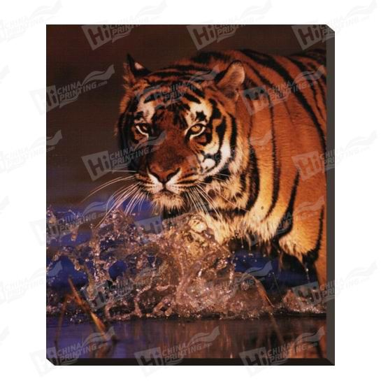 Tiger Canvas Printing