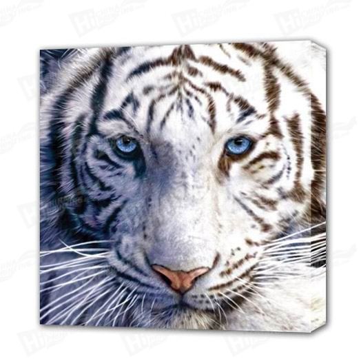 Tiger Canvas Printing