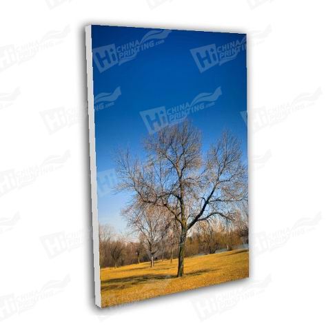 Tree Canvas Printing