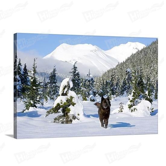 Wolf Canvas Printing