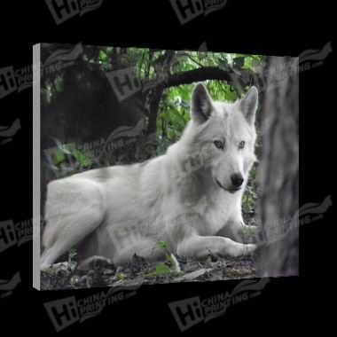 Wolf Canvas Printing